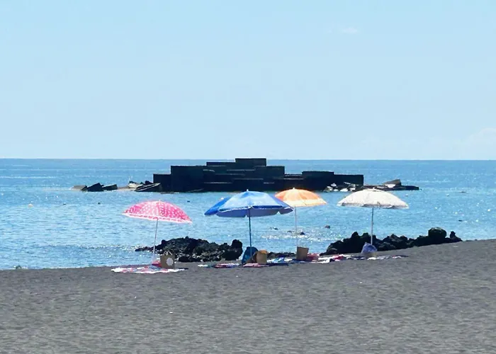 D\'Sal Y Arena
